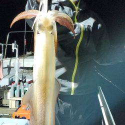 LUSTER『ラスター』 釣果