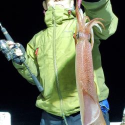 LUSTER『ラスター』 釣果