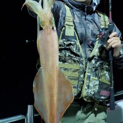 LUSTER『ラスター』 釣果