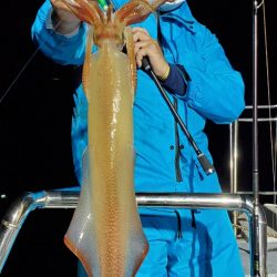 LUSTER『ラスター』 釣果