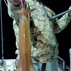 LUSTER『ラスター』 釣果