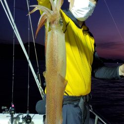 LUSTER『ラスター』 釣果