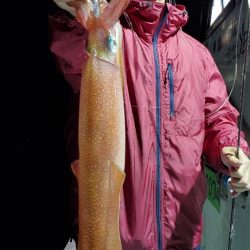 LUSTER『ラスター』 釣果