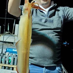 LUSTER『ラスター』 釣果