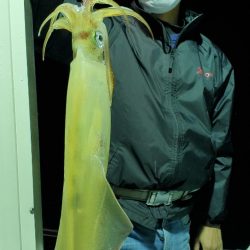 LUSTER『ラスター』 釣果