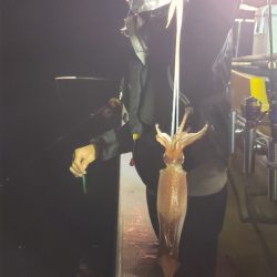 海龍丸（石川） 釣果