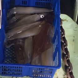 海龍丸（石川） 釣果