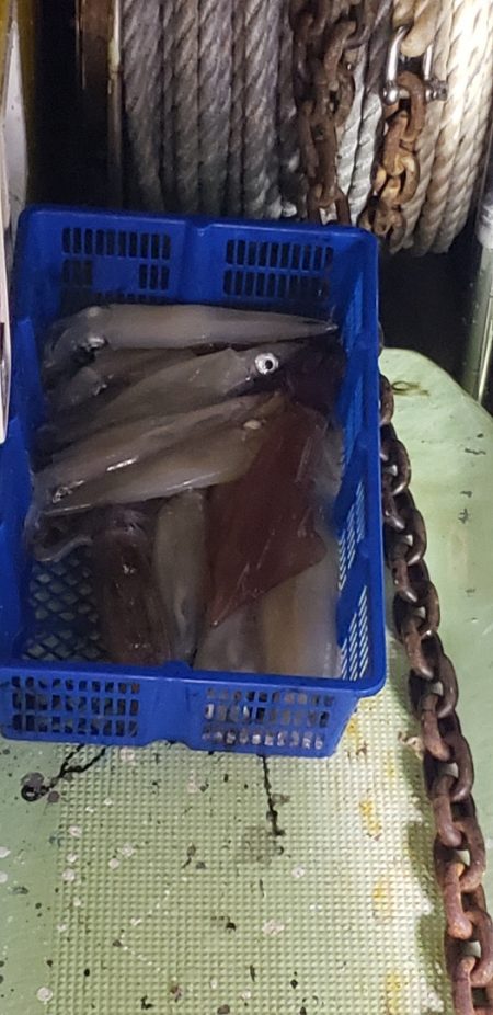 海龍丸（石川） 釣果