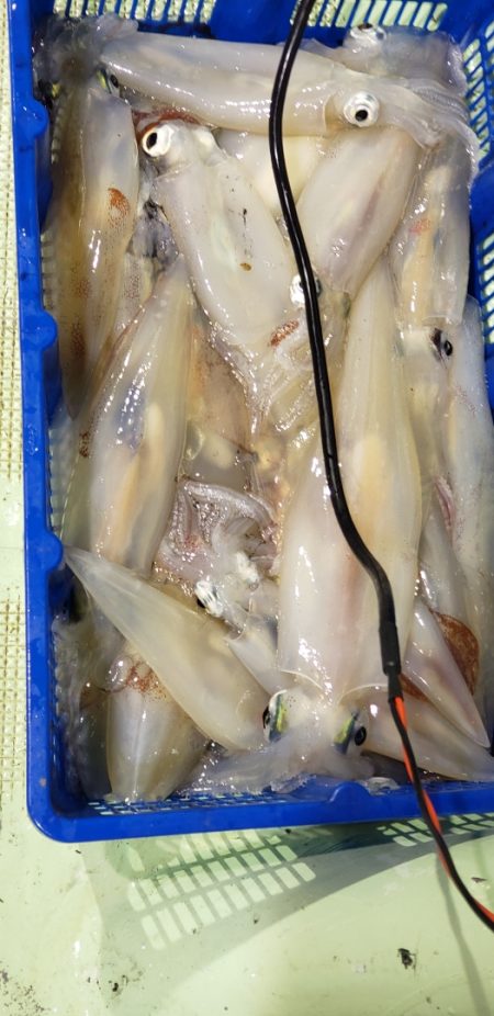 海龍丸(石川) 釣果