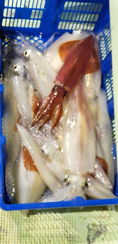 海龍丸(石川) 釣果