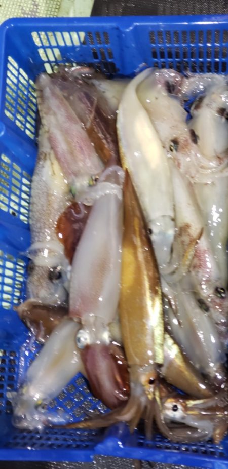 海龍丸（石川） 釣果