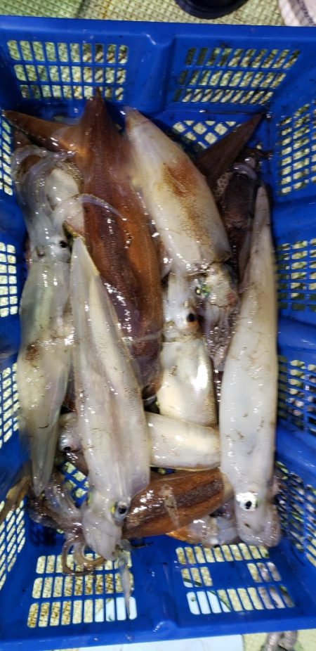 海龍丸（石川） 釣果