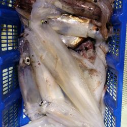 海龍丸（石川） 釣果