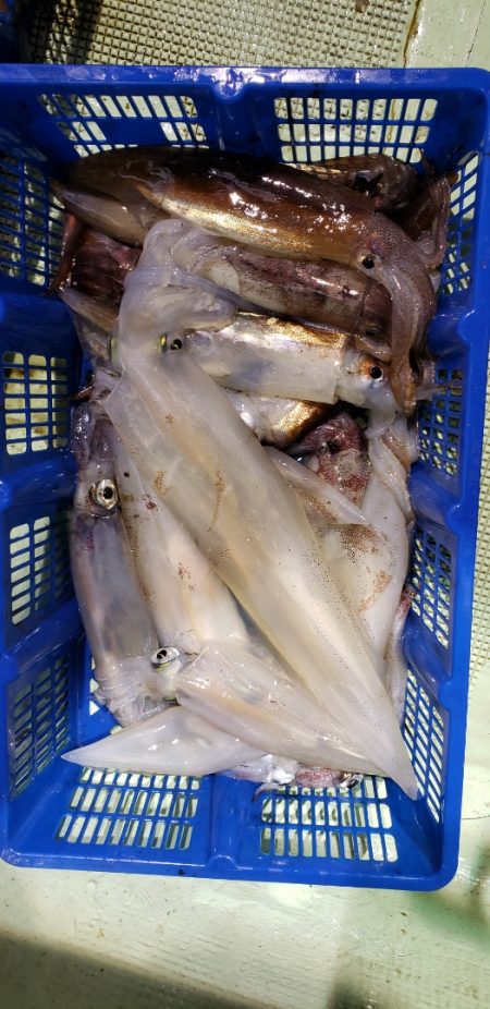 海龍丸（石川） 釣果