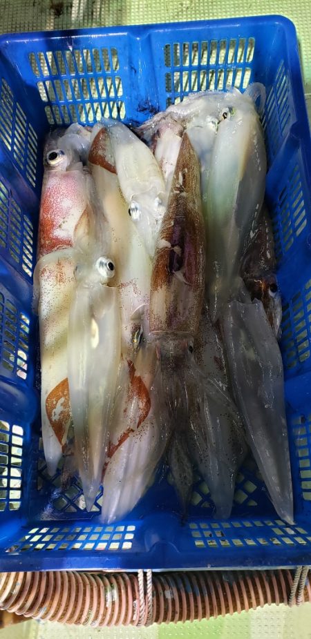 海龍丸（石川） 釣果