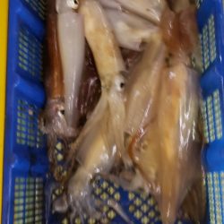 海龍丸（石川） 釣果