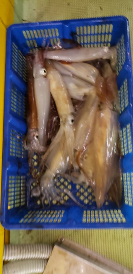 海龍丸（石川） 釣果