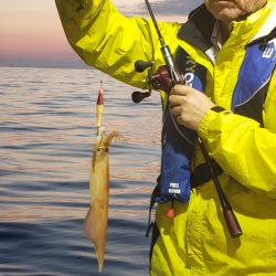 海龍丸（石川） 釣果