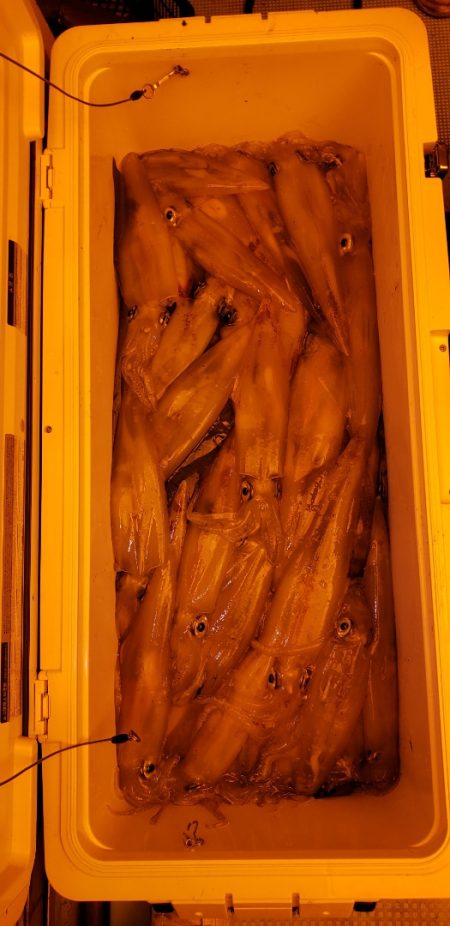 海龍丸（石川） 釣果