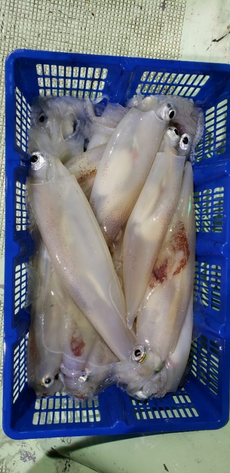 海龍丸（石川） 釣果