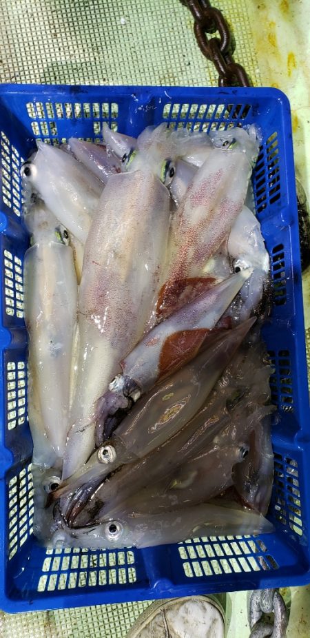 海龍丸（石川） 釣果