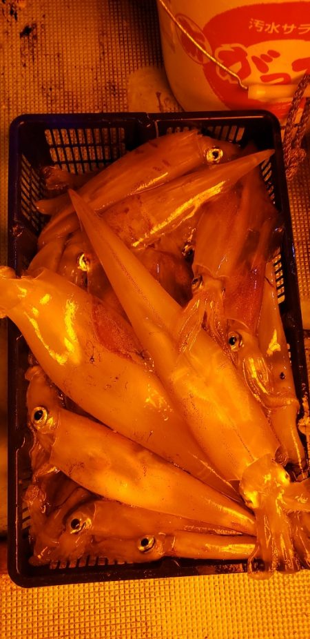 海龍丸（石川） 釣果