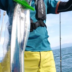 シースナイパー海龍 釣果