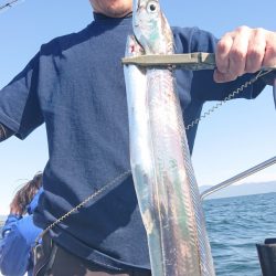 シースナイパー海龍 釣果