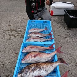 第三共栄丸 釣果