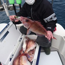 遊漁船ブルーウッズ 釣果