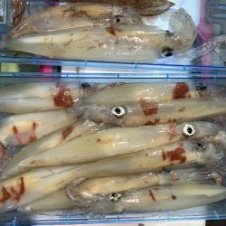 海龍丸（石川） 釣果