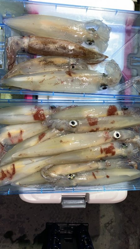 海龍丸（石川） 釣果