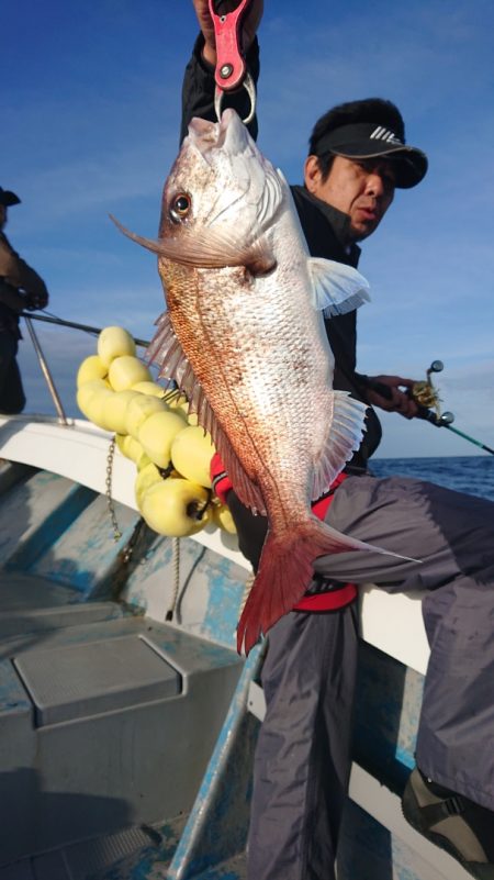 だて丸 釣果
