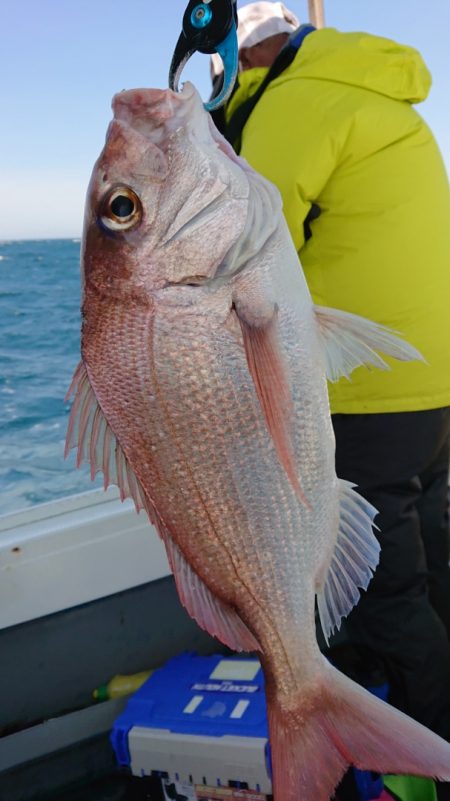 だて丸 釣果