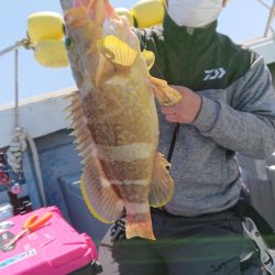 だて丸 釣果