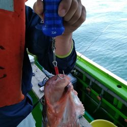 小島丸 釣果