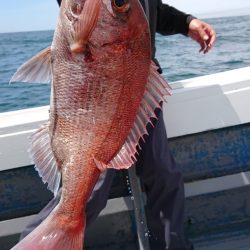 だて丸 釣果