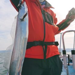 シースナイパー海龍 釣果