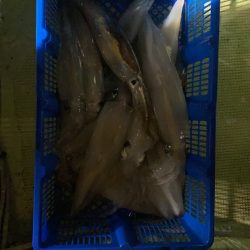 海龍丸（石川） 釣果