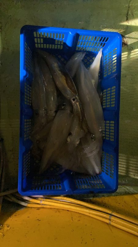 海龍丸（石川） 釣果