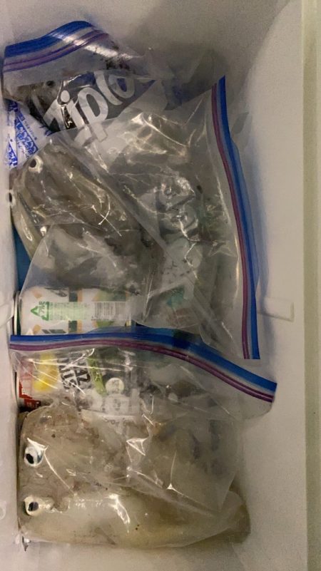 海龍丸（石川） 釣果