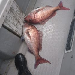 遊漁船ブルーウッズ 釣果