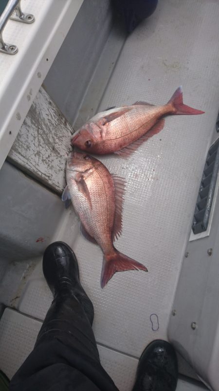 遊漁船ブルーウッズ 釣果