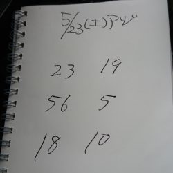 金沢八景鴨下丸 釣果