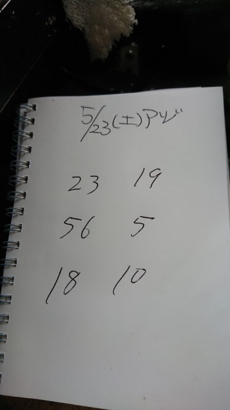 金沢八景鴨下丸 釣果