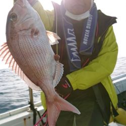 だて丸 釣果