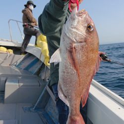 だて丸 釣果