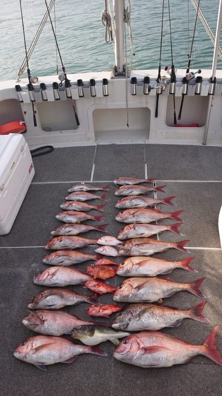 ARCADIAⅡ (アルカディアⅡ) 釣果