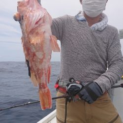 だて丸 釣果