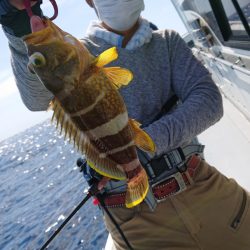 だて丸 釣果